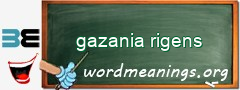 WordMeaning blackboard for gazania rigens